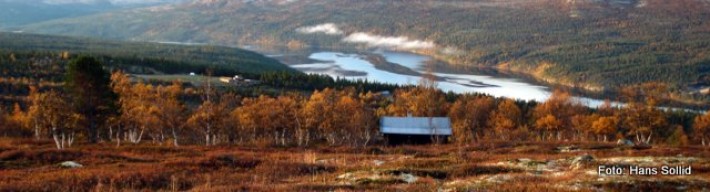 Fra Megrunnslia