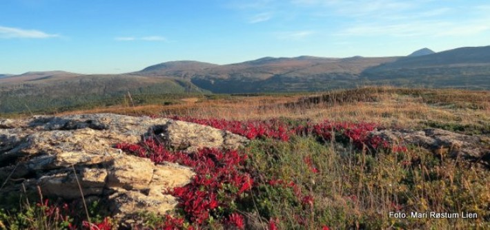 Fra Finnsjøfjellet