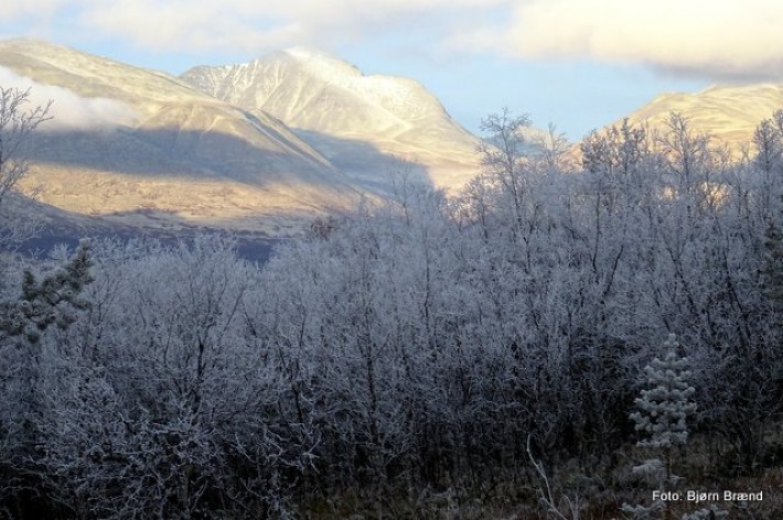 Mot Rondane i oktober