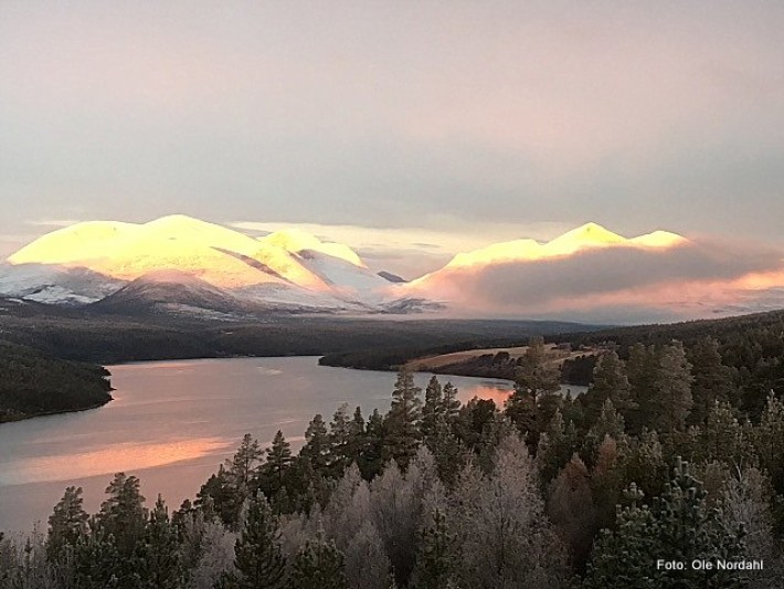 Vintermorgen i Rondane