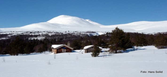 Blåkampen og Gravskardhøgda fra Sjølisetra