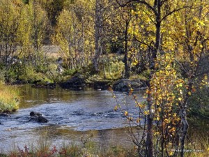 Høstlig badekulp