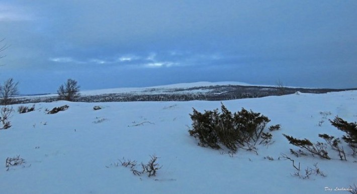  blåtime i fjellet Finnsjøvola og Pika se