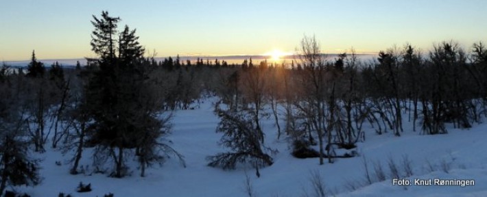 Vintersolverv