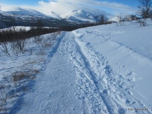 1-IMG_7288