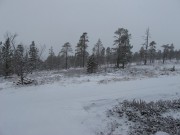 Snødetten vi ikke trengte