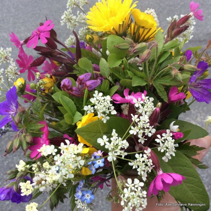 Blomsterhilsen fra Sollia skole