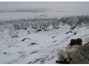 Elgjakta slutter i dag 23. desember