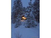 Julestemning