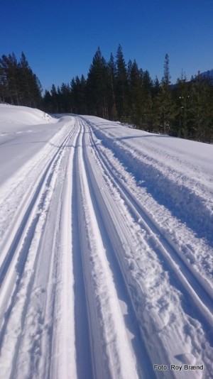 1-1 0320 skispor Myrflovegen RB