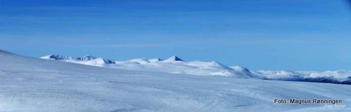 1-18 0318 Panorama fra Grøtørtjønna, reinsbukkene 