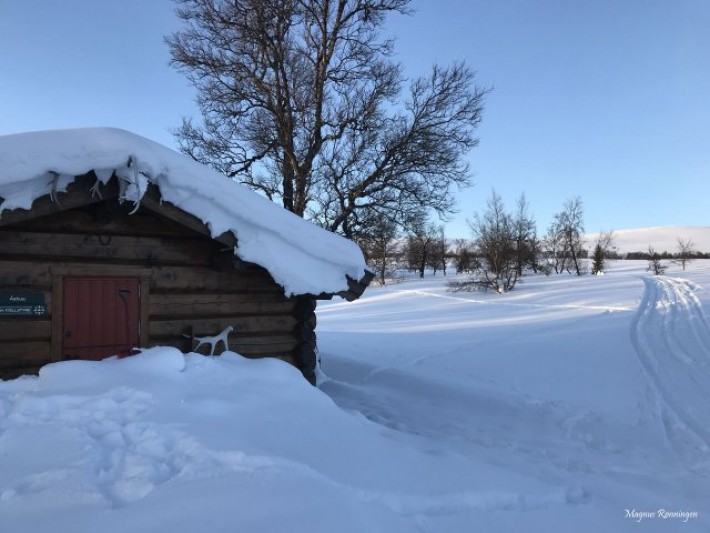 1-18 0318 Åsbua lørdag morgen_preview