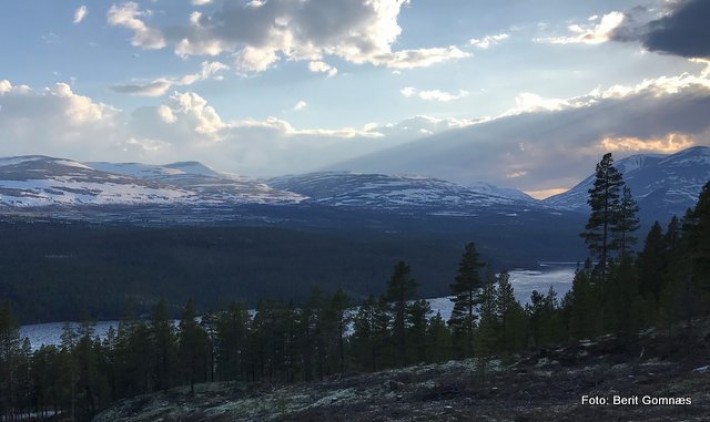 1-18 0514 isen Atnasjøen