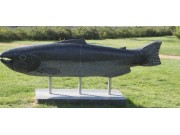 Foran Fossedagene: Storfisk