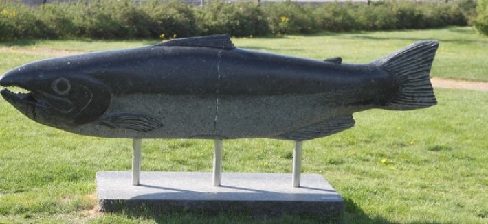 1-18 0815 storfisk