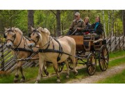 Bedring i buss/taxi-tilbudet?