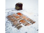 Bra fiskebett