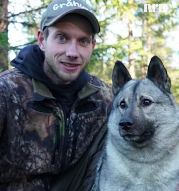 wkiktor og hund