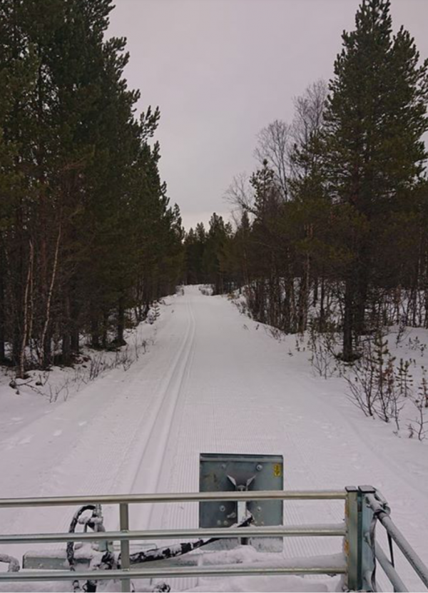 Løype
