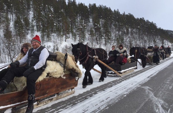 hest på veien ved Vollgrenda