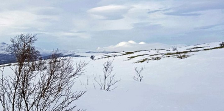 1-19 0223 Gravskarhøgda i det fjerne
