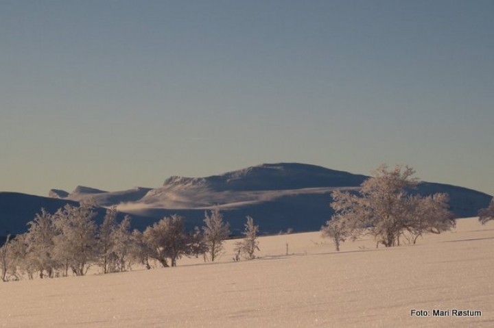 1-18 0121 Ramshøgda fra Øverdalsetra