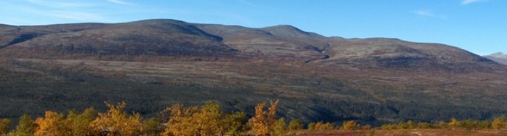 1-Vassbulia fra Megrunnslia