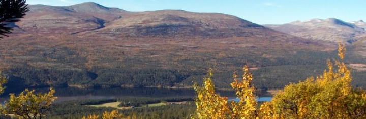 1-Vassbulia og Atnasjøen fra Megrunnslia