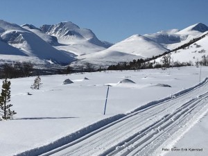 1-19 0314 løype Megrlia Svein Erik Skjærstad
