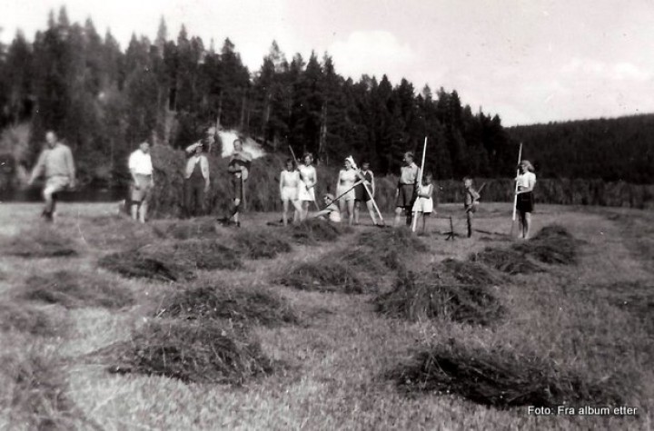 1-19 0714 slåttebilde 2