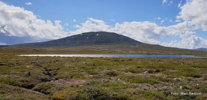 1-19 0623 Steintjønna ved Grøtørhøgda