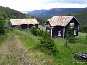 1-19 0813 Røstvang juli 2019