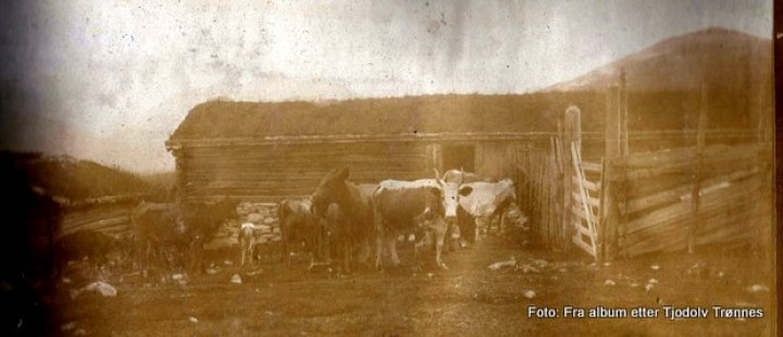 1-19 0802 Sjølisetra-001