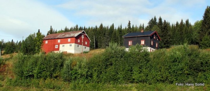 1-IMG_2491