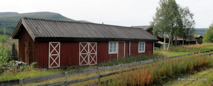 1-IMG_2503