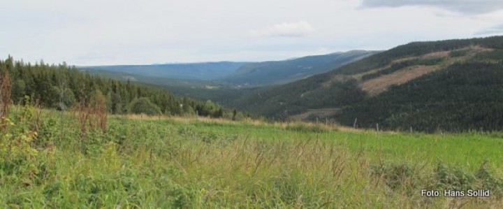 1-IMG_2510