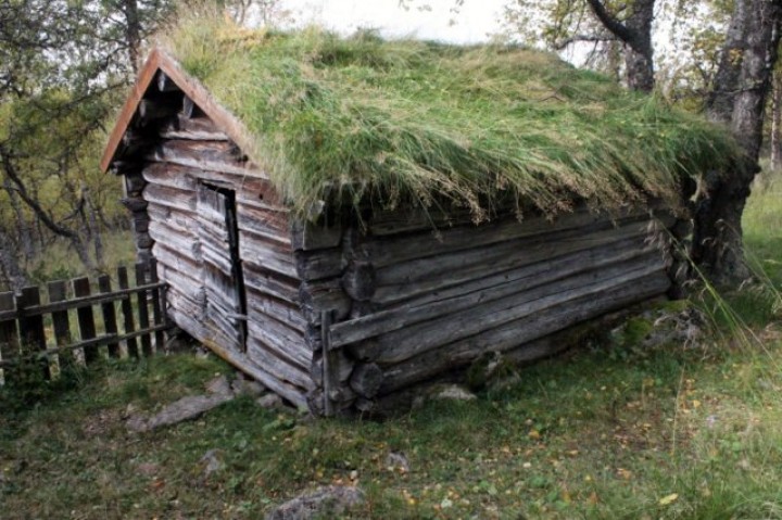 Torvtak