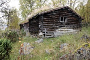 IMG_1078