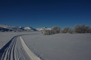 _DSC805010
