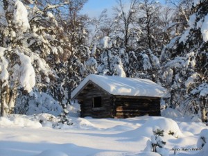 1-19 1203 Opiløa i Veslegrytdalen