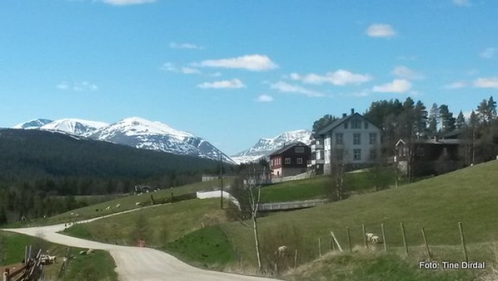 1-19 1210 Inn på tunet 3