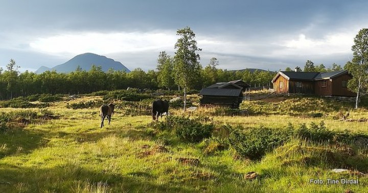 1-19 1210 inn på tunet 8
