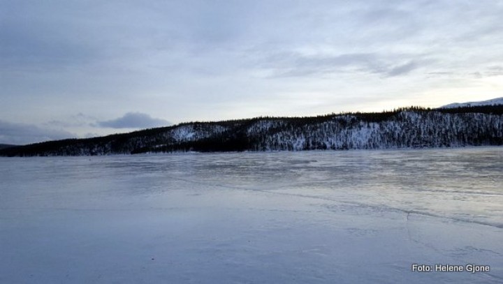 1-20 0102 skøyteis