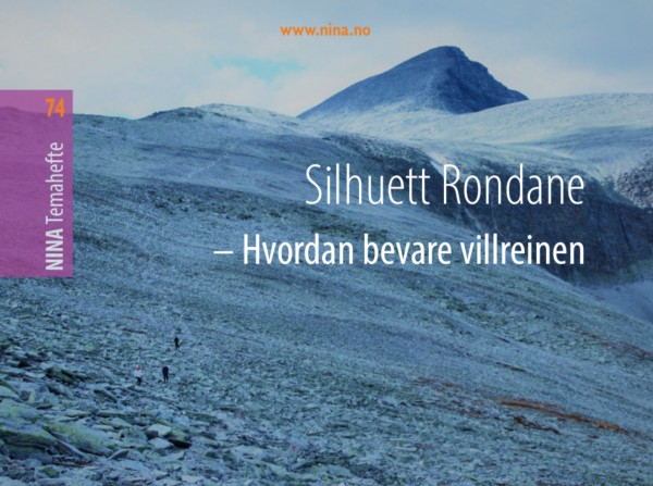 Silhuett rein