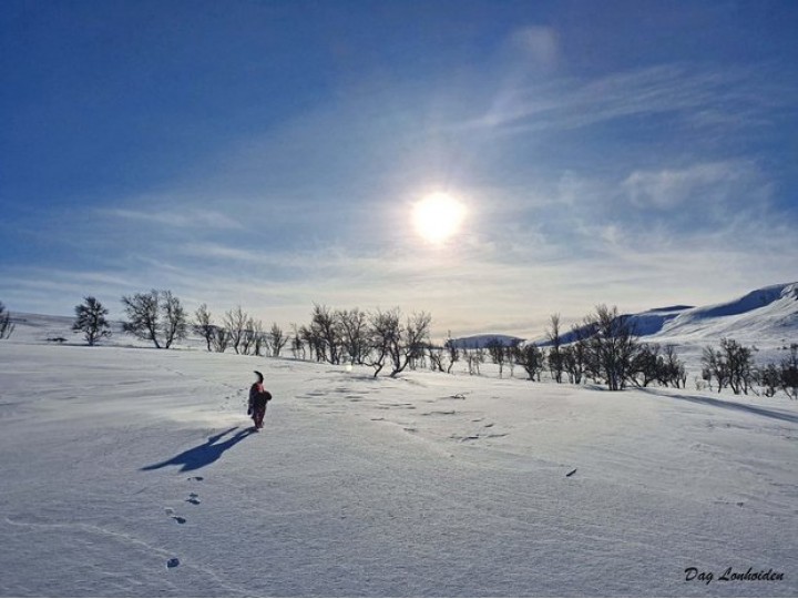 1-20 0215 tur til Vuludalen