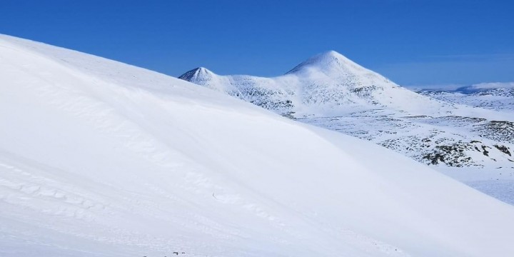 20 0420 Grvaskarhøgda 3 jpg