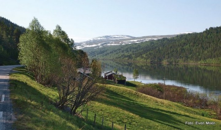 20 0602 Slåbumoen Evben Moen
