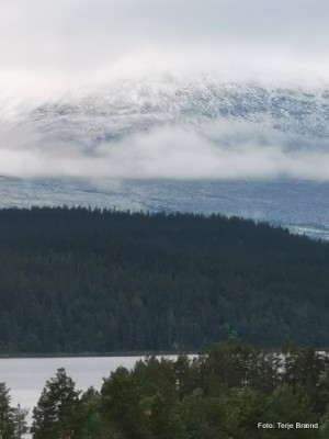 20 0703 snø i fjellet