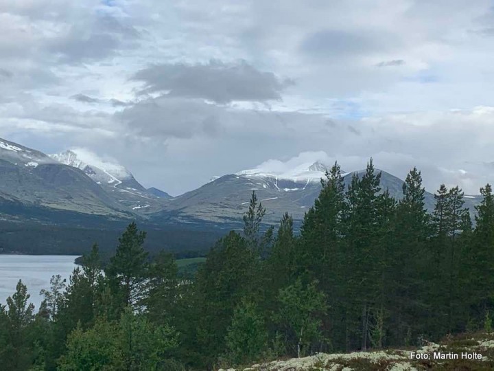20 0707 morgenstemning