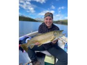 Storfisk
